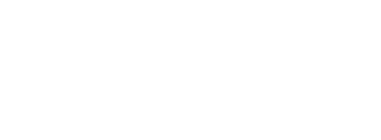 The Library Foundation